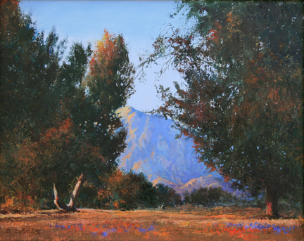 Bruce Sanford Day