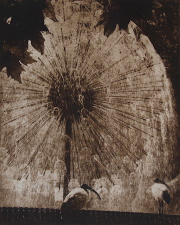 Joy Feuer