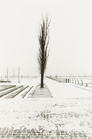 Richard Copeland Miller