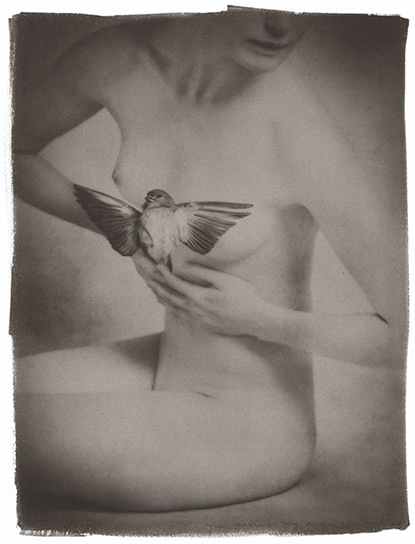Jovi Schnell